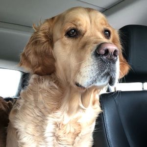 Meet your Posher, Allyson